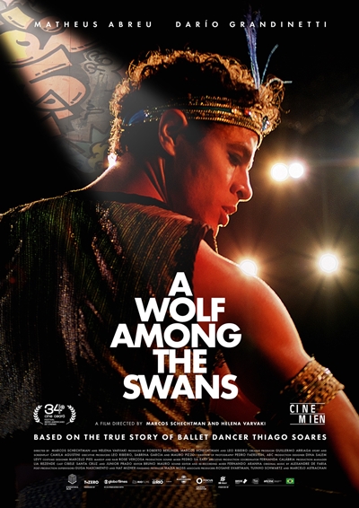 A Wolf Among the Swans in Harderwijk